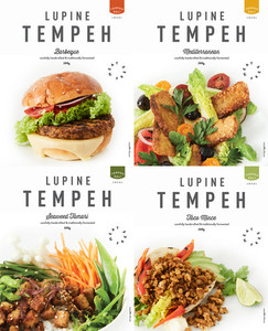 Lupine Tempeh - 4x Flavours Tempeh Deli