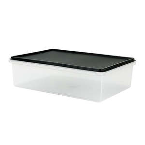 Rectangular Storer: Rectangular storer 5L - 316 x 224 x 94mm