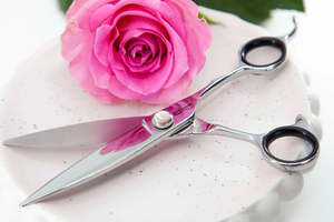 Elite Scissors: ELITE Premium Slicer