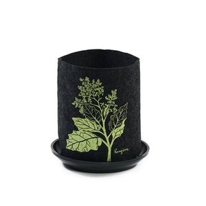Aotearoa: Eco Felt Grow Bag - Rangiora