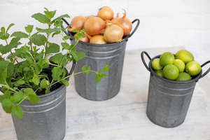 Iron Metal Garden Pails