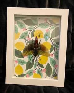 Hopper on Lemons - Taxidermy