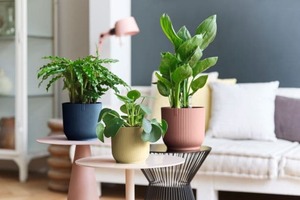 Planter -  Vibes Cover Pot