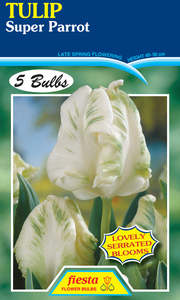 Bulb - TULIP - Super Parrot