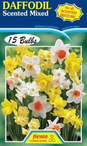 Bulb - DAFFODIL - Scented Mix P15