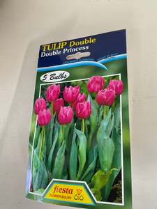 Garden: Bulb - TULIP - Double Princess