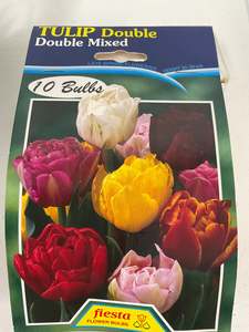 Bulb - TULIP - Double Mixed 10