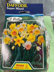 Garden: Bulb - DAFFODIL - Mixed - PK15