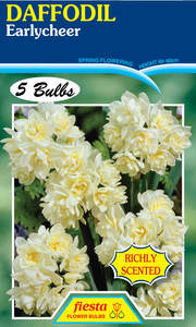 Garden: Bulb - DAFFODIL - Earlycheer