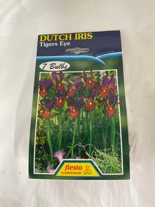 Gifts Under 20: Bulb - DUTCH IRIS - Tigers Eye PK7