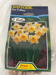 Gifts Under 20: Bulb - DAFFODIL - Ice Follies