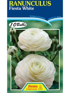 Gifts Under 20: Bulb - RANUNCULUS - White