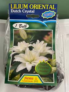 Lily - Double Dutch Crystal