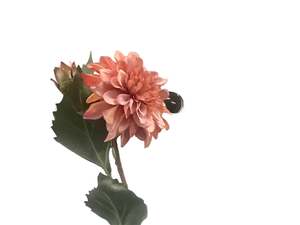 Artificial Flower - Border Dahlia - Vintage Pink