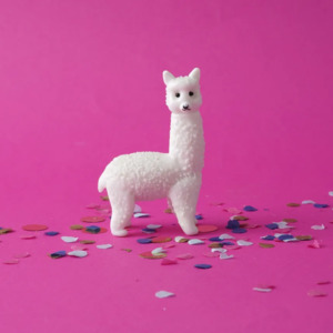 Home: Glass Animal - Alpeaca
