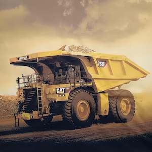 Cars: Cat Dump Truck Panel