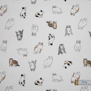 Cats: Nankin