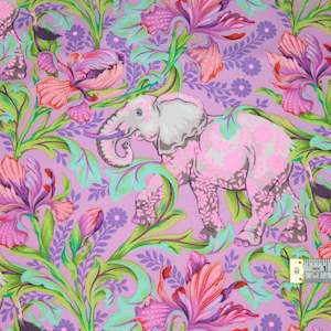 Everglow - All Ears - Cosmic