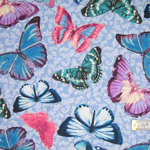 Butterflies: Victoria - Large Butterfly - Periwinkle