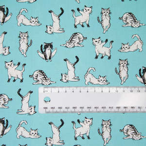On Sale: Yoga Cats