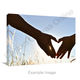 Put Photo on Canvas