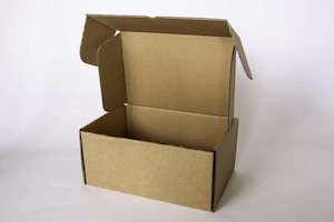 Die-Cut Cartons: PT268 - 315x205x145mm