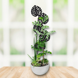 Powder Coated: monstera plant trellis