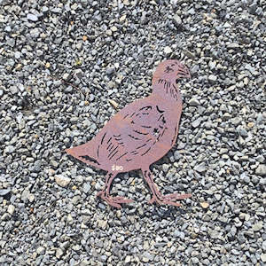 Birds: CRAZY SALE - Takahe