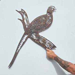 Birds: CRAZY SALE - Pheasant