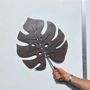 Nature: CRAZY SALE - Monstera