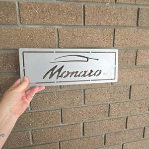 monaro - silver