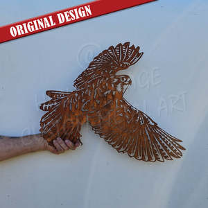 Birds: nz falcon - karearea