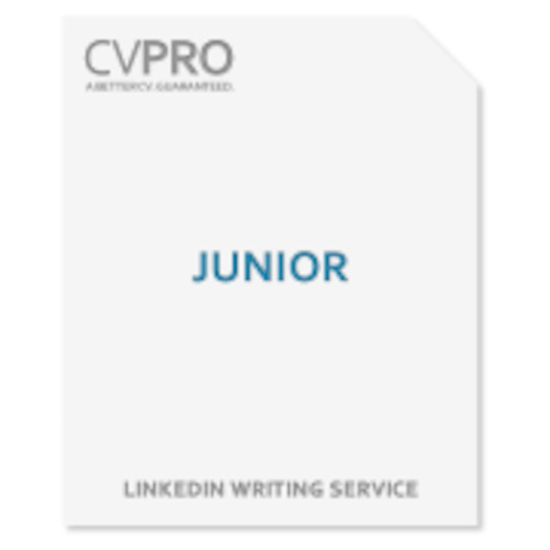 Junior - LinkedIn Profile Writing Service