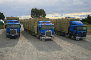 Medium Bales CWT