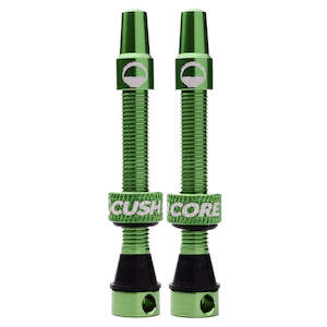 Cush Core Valves