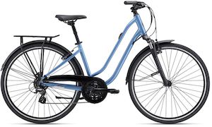 Liv 2023 Flourish FS