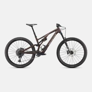 Specialized Stumpjumper: Stumpjumper EVO Comp  - SRAM GX Eagle, FOX Rhythm