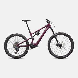 Specialized Turbo Levo: Turbo Levo SL 2 Expert