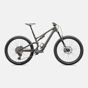 Specialized Stumpjumper: Stumpjumper 15 Expert  - SRAM GX AXS, FOX Performance Elite