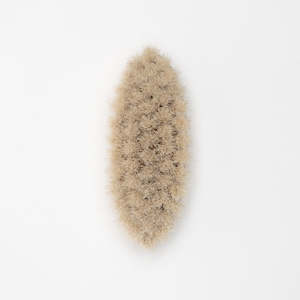 Body: Oval Bath Brush