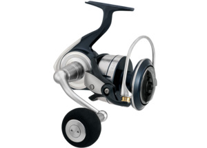 Heavy Duty: 21 Certate SW