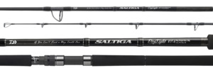 Saltiga C Dogfight