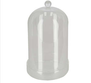 Homewares: Glass bell jar with bowl 16cm
