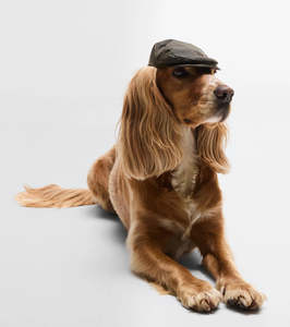 Barbour Waxed Cotton Dog Cap - Size S/M