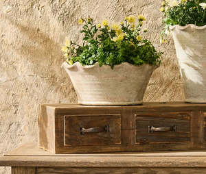 Homewares: French Country Wavy Planter Bowl
