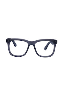 Eyewear And Readers: Daily Eyewear 11 am Readers Smoke