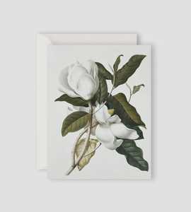 Father Rabbit Stationery |  Gardenia Card