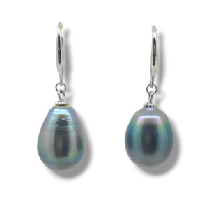 Classic Hook Earrings