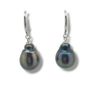 Classic Hook Earrings