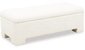 Bobbi Ottoman with Storage